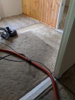 Tru Blue Carpet Cleaning & Pest Control image 1